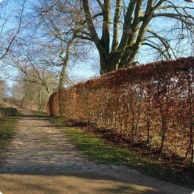 Wynajmę bezpośrednio 3 pokojowe mieszkanie 52 m na Sadybie Mokotów Warszawa